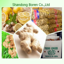 2015 Fresh Ginger From China Shandong